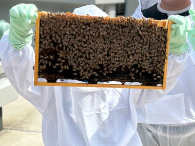 yo99qiYu8weSvvn1ei07.jpg?w=940&h=940