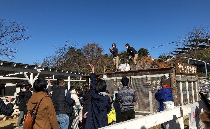 ▲新春ミカンまき大会