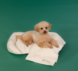 yoT6AuN9ZeE1mlUZp3Tx.jpg?w=940&h=940