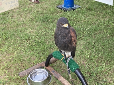 ypNuS8CZ6XbmAc8lyQ0t.jpg?w=940&h=940