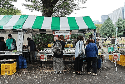 yq01aR1T7MZHbldhHdDt.png?w=940&h=940