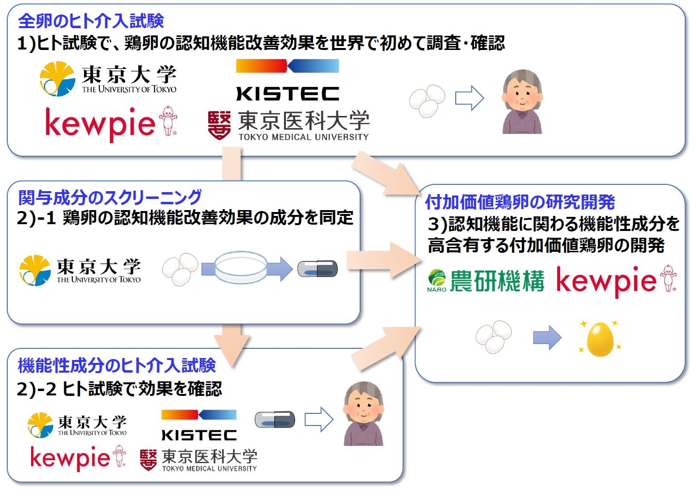 鶏卵の摂取による「認知機能改善効果」を明らかにしていきます。令和3年度イノベーション創出強化研究推進事業に採択。