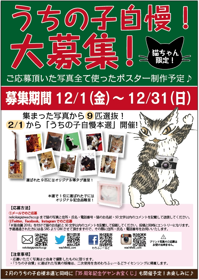 nyanko様❣️専用ページ 猫ちゃん限定！うちの子自慢写真大募集・締切迫る 選抜9匹には「ダヤン