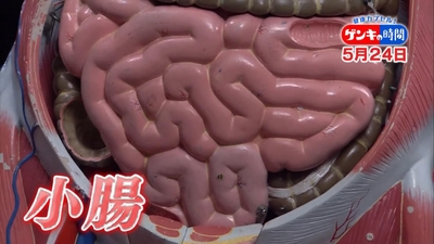 yrfpcuLxxIIM71XsNZhy.jpg?w=940&h=940