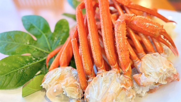 冬グルメの醍醐味《ずわいガニ》を心行くまで堪能!