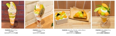 yuiG49Qu6K7oGfWPc3Og.jpg?w=940&h=940