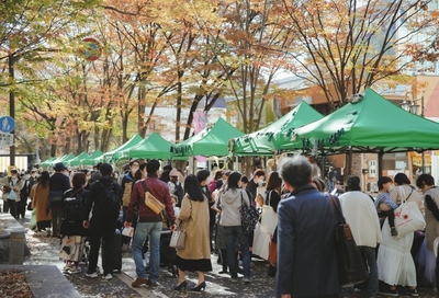 yvFdoM6v5AvZc8bJTQsv.jpg?w=940&h=940