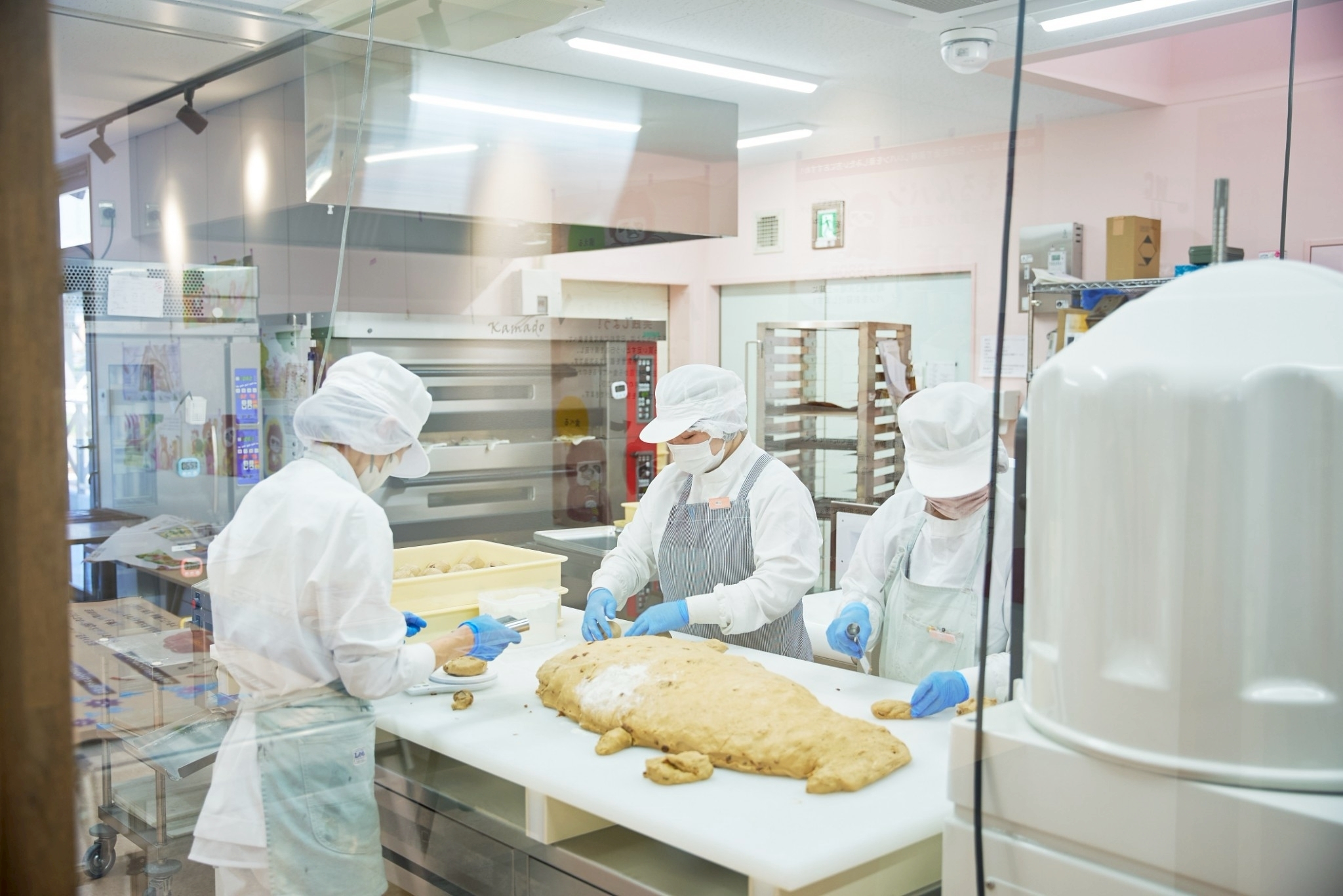 見学ルートから見た様子