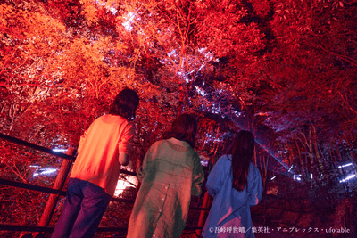 yvMmClj71SRMmBSzkCXy.png?w=940&h=940