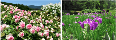 yvyv5wTbQ9kQKLlFesAz.png?w=940&h=940