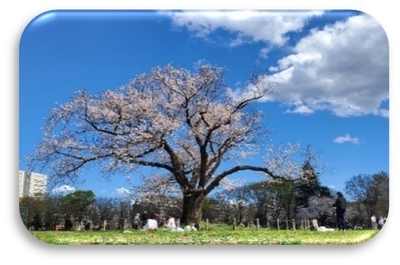 yx1N5NnvHaTo4ERYljue.jpg?w=940&h=940