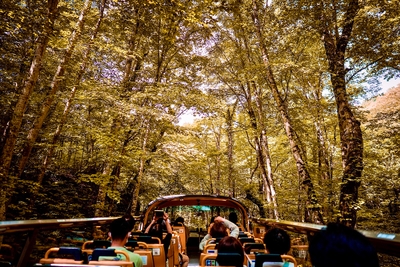 yxeXpznahwpU25yDPuKa.jpg?w=940&h=940