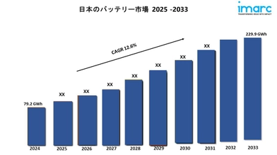 日本バッテリー市場規模、シェア、業界分析、洞察 2025-2033