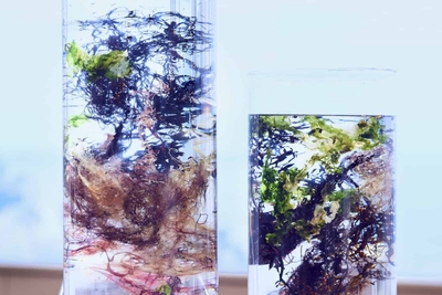 yzZtxQWVa55cq35F4uVE.jpg?w=940&h=940