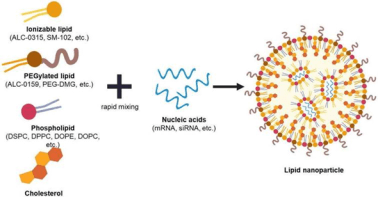 脂質ナノ粒子（LNP）製剤サービス市場、CAGR10.80%で拡大し2031年には1482百万米ドルへ
