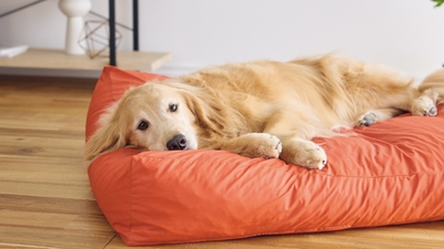 yzpVPIZRlN6Nblq4COfA.jpg?w=940&h=940