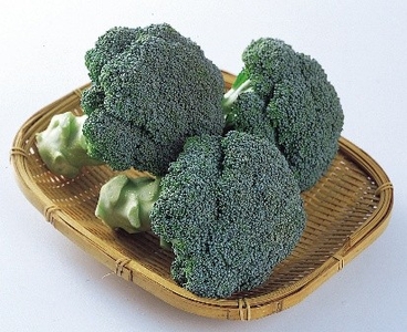 ブロッコリー
