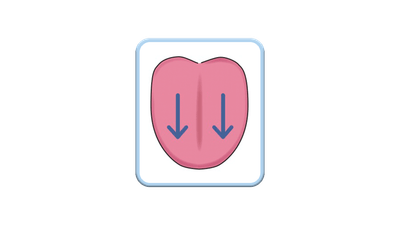 z377hViIXvLK1ZOKNFzK.png?w=940&h=940