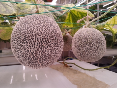 z38BWBbHec75QjiOrVbC.jpg?w=940&h=940