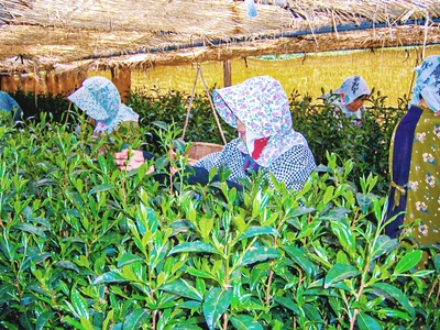 z3msGCUKXkBcSepRk3Vo.jpg?w=940&h=940