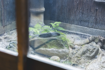 z59D8kVmCvuPIQlni9vX.jpeg?w=940&h=940