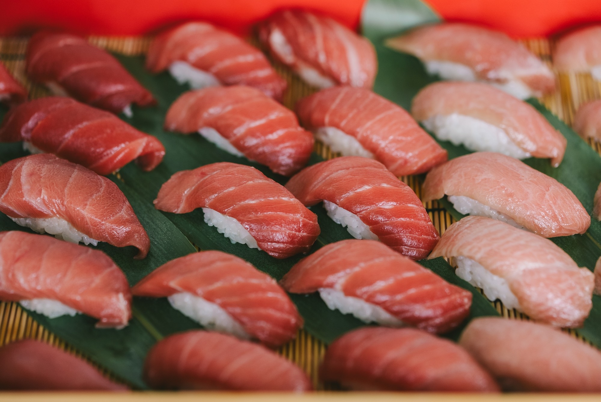 「伊根町産黒まぐろ 握り寿司」 大トロ・中トロ・赤身