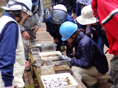 z5r6on2R1OKPK5SN5mKm.JPG?w=940&h=940