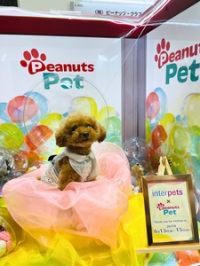 愛犬家に好評だったカプセルトイ自販機型フォトブース