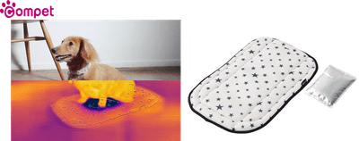 z6nF8C2iidu0QDd7Jh9w.png?w=940&h=940