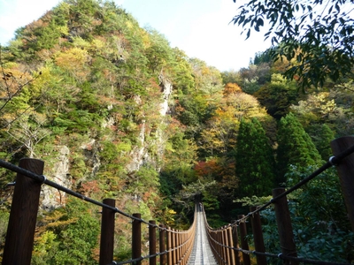 z7PSwwC6EdWd0ZkeVjwq.jpg?w=940&h=940