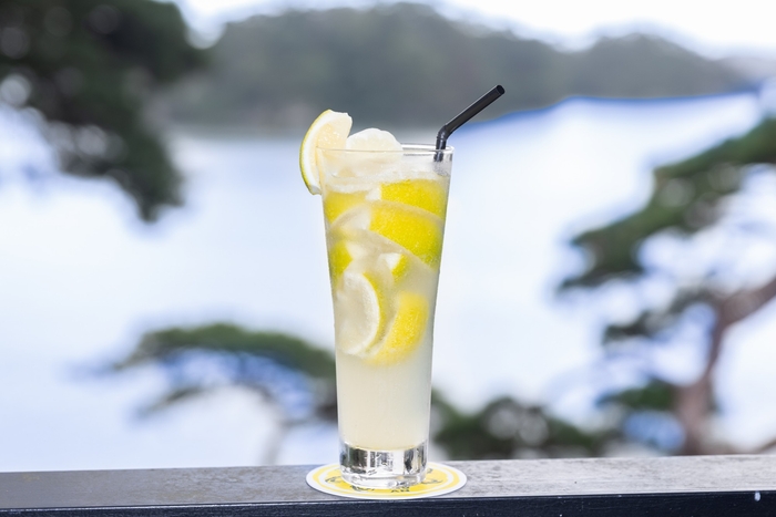 国産レモンまるごと2個!究極のかきフライ専用 レモンスカッシュ