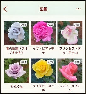 z9pO3je9pXq6wV9L4WhG.jpg?w=940&h=940