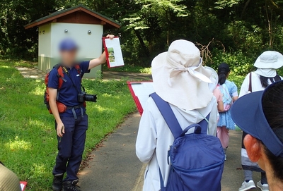 zA5TaQuaRAEJOk2TX26M.jpg?w=940&h=940