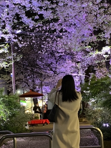 zAFhxk0Mu5qeXUoMuhvb.jpg?w=940&h=940