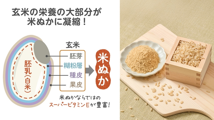 米ぬかならではの栄養素