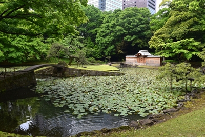 zBVSTXbzXYK6uZvEYoBt.jpg?w=940&h=940