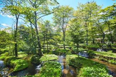 zC3BXRP1PN4yGPtOkSor.jpg?w=940&h=940