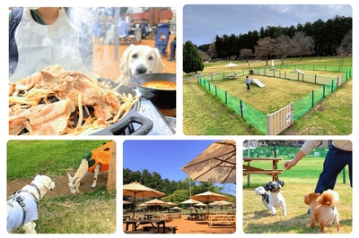 zD6vTqPl6fJpUzuhY0qW.jpg?w=940&h=940