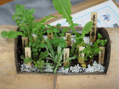 zED2tFCZ0n8VJgDucEPv.jpg?w=940&h=940