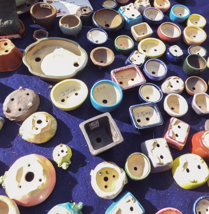 室内で楽しむときには「地板=盆栽などの下に敷く板」やコースターなど敷物を使って飾る