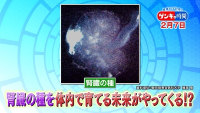 zFZstYVkDU5ARXC1xu98.jpg?w=940&h=940