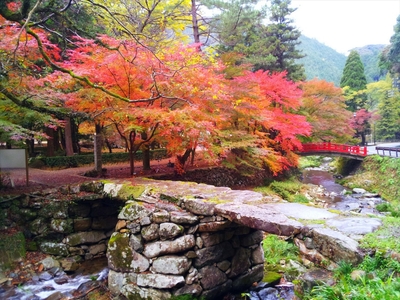 zGGeLQDllPRmGuencBIK.jpg?w=940&h=940