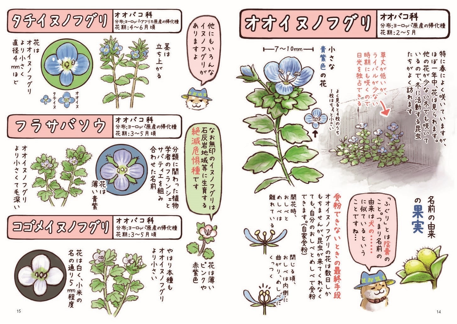 毎日通る身近な場所には、さまざまな草花がいっぱい!