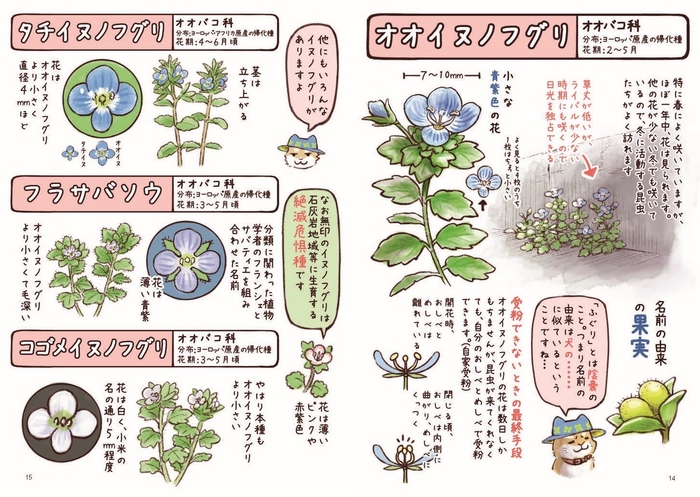 毎日通る身近な場所には、さまざまな草花がいっぱい!
