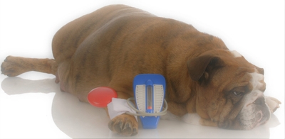 zGhZ7xCtEz05hlWqQbSE.jpeg?w=940&h=940