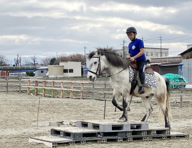 キッズ　ウエスタントレイル乗馬