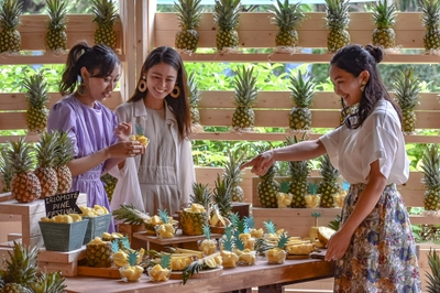 zHJ1qOSblOLs1J5GhUTe.jpg?w=940&h=940