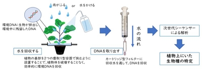 zHZHZwklDj7giSWNcIfm.jpg?w=940&h=940