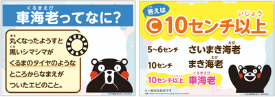 zHgERUrDWGGIBY61ZS91.png?w=940&h=940