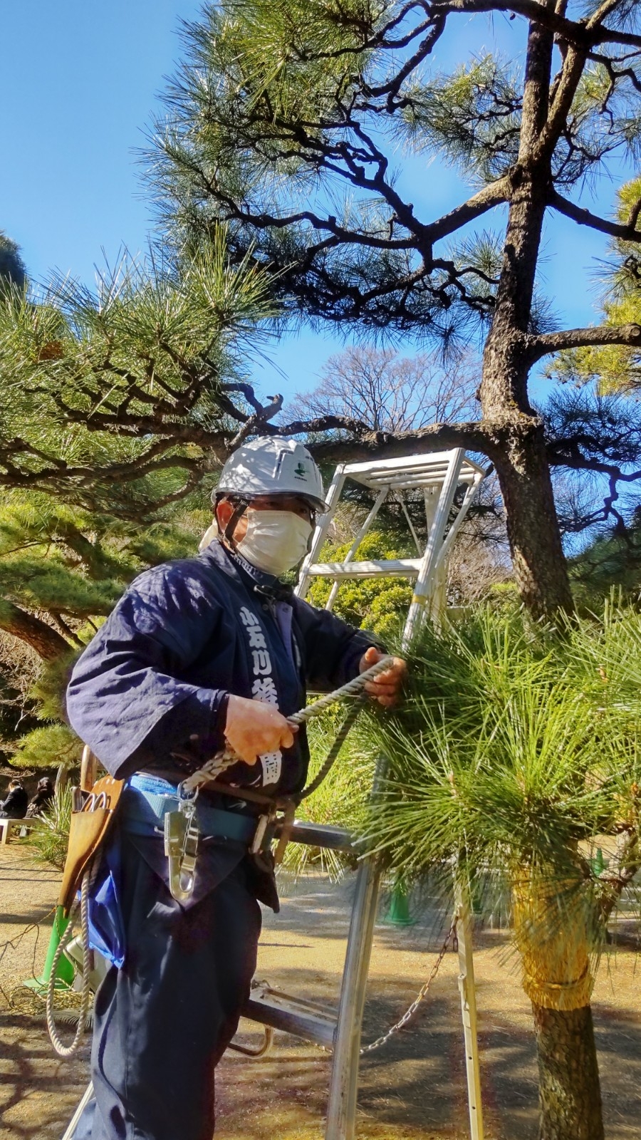 庭園管理のプロの親方が解説します